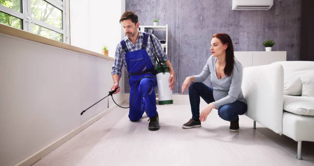 Best Pest Prevention Services  in North Bay Village, FL